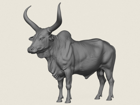 Indian Bull Print Ready 3D Print Model