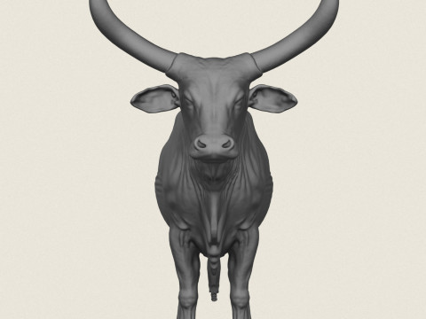 Indian Bull Print Ready Model do druku 3D