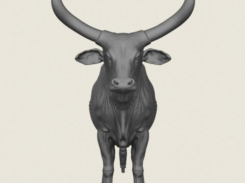 印度公牛 3D 打印模型