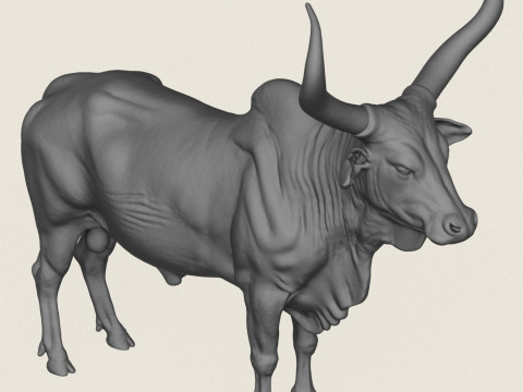 Indian Bull Print Ready Model do druku 3D