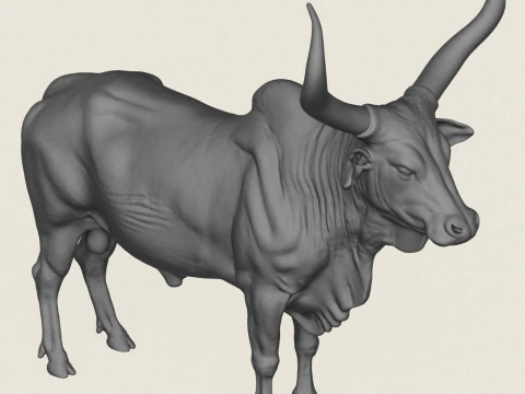 印度公牛 3D 打印模型