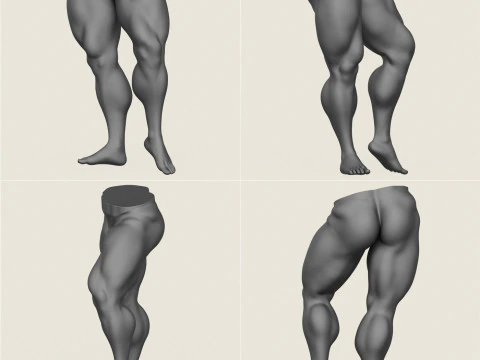 Muscular Man Leg Pose Collection 3D Print Model