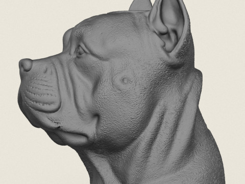Pit Bull Dog Face Vase Print Ready Modelo de Impressão 3D