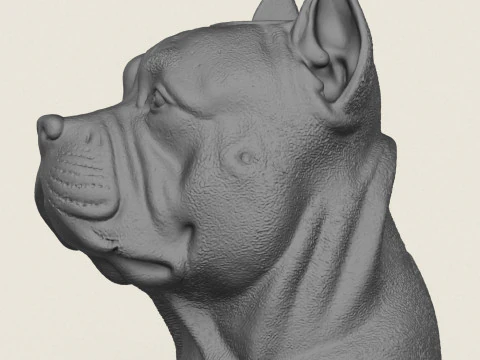 Pit Bull Dog Face Vase 3D Print Model