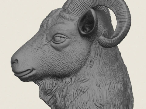 Goat Head Vase 3D Print Model
