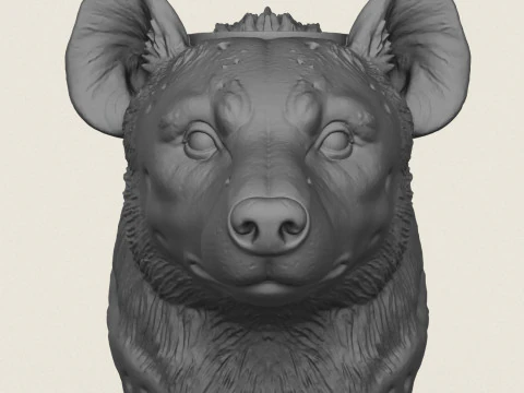 Hyena Face Vase 3D Print Model