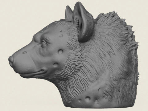 Hyena Face Vase 3D Print Model