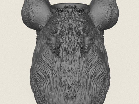 Hyena Face Vase Print Ready 3D Baskı Modeli