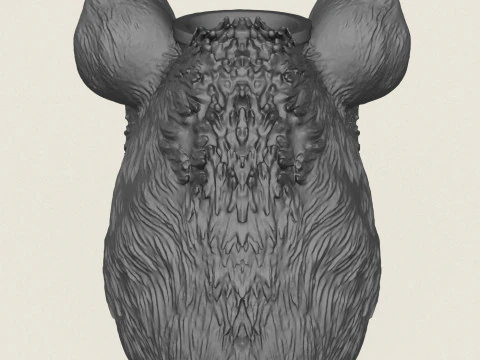 Hyena Face Vase 3D Print Model
