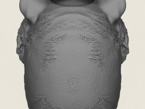 호랑이 머리 꽃병 3D 프린트 모델