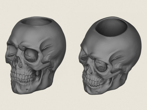 Skull Plant Pot 3D 打印模型