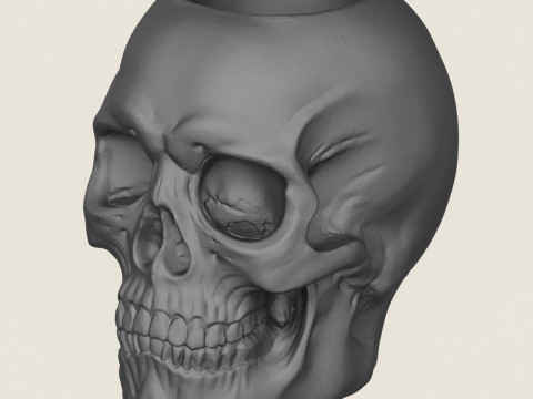 Skull Plant Pot 3D 打印模型