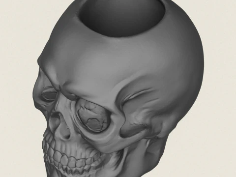 Vaso de Caveira Modelo de Impressão 3D