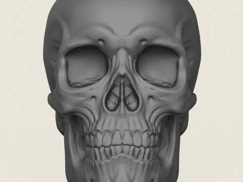 Vaso de Caveira Modelo de Impressão 3D