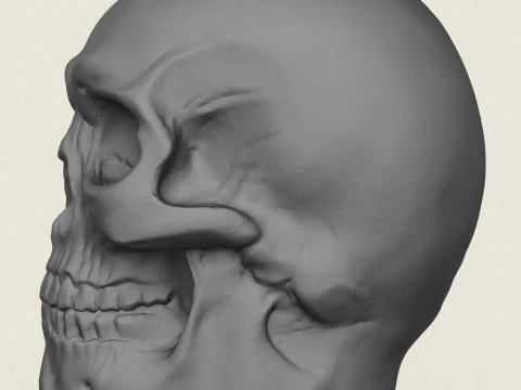 Vaso de Caveira Modelo de Impressão 3D