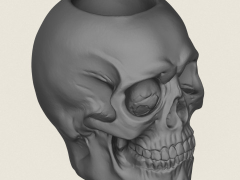 Skull Plant Pot 3D 打印模型