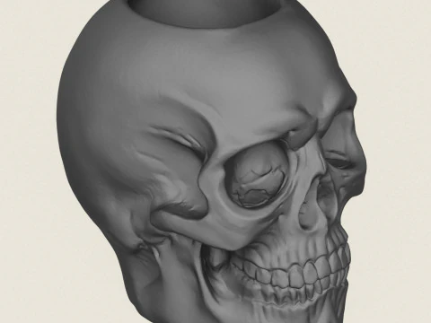 Vaso de Caveira Modelo de Impressão 3D