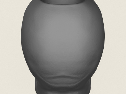 Skull Plant Pot 3D 打印模型