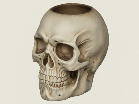 Vase Crâne Modèles 3D en vedette
