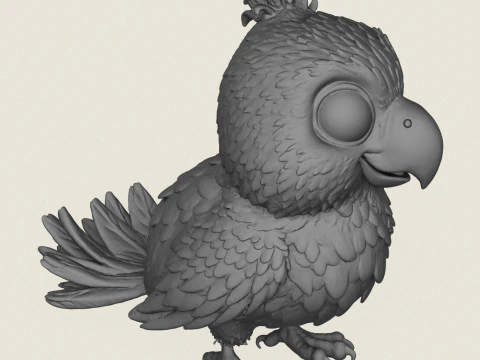 Baby Parrot Bird 3D Print Model