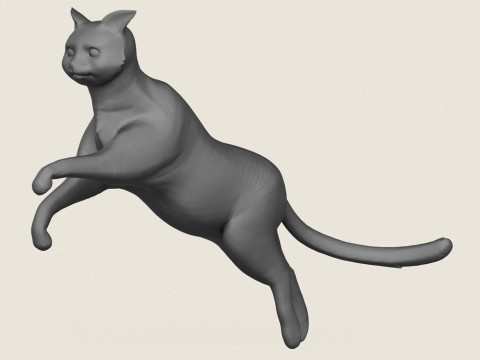 Pose de saut de chat Modèles 3D en vedette