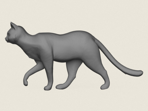 Kedi Yürüyüşü Pozu Baskıya Hazır 3D Baskı Modeli