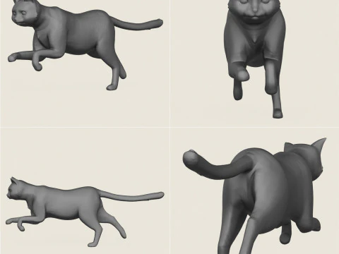 Cat Poses Collection 3D Print Model