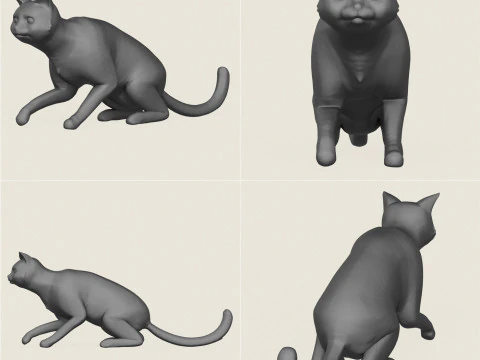 Cat Poses Collection 3D Print Model