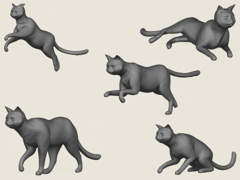 Collection de poses de chat Modèles 3D en vedette