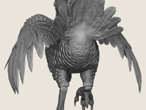 화난 칠면조 새 3D 프린트 모델
