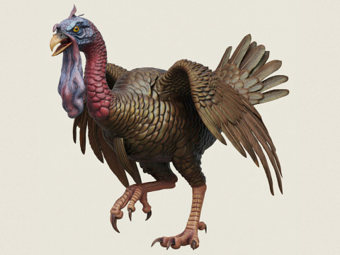 Злая птица-индейка 3D Принт Модель