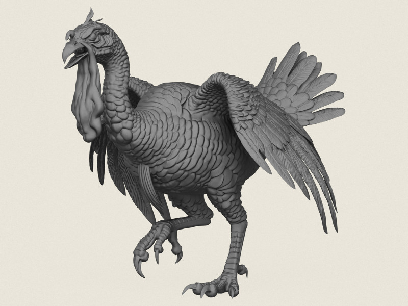 Wściekły ptak z indyka Model do druku 3D .c4d .max .obj .3ds .fbx .stl .blend 