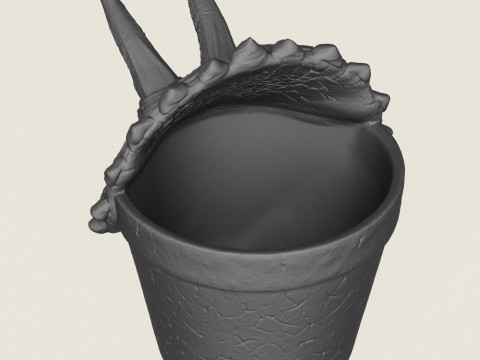 Triceratops Dinosaur Head Planter 3D Print Model