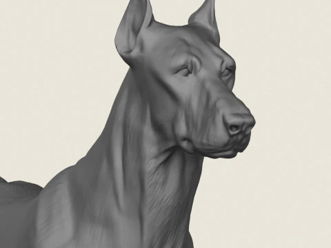 Doberman Dog 3D Print Model