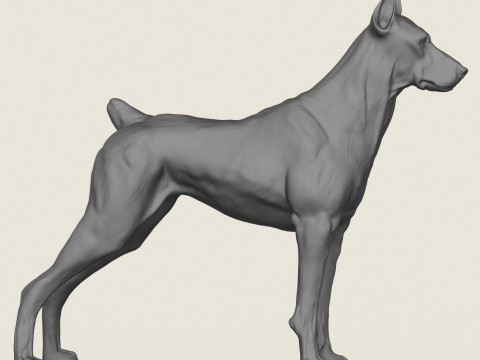Cane Doberman Modello di stampa 3D
