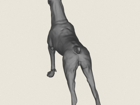 Cane Doberman Modello di stampa 3D