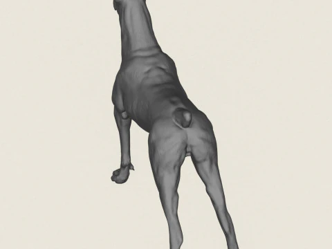 Doberman Dog 3D Print Model