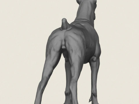 Doberman Dog 3D Print Model