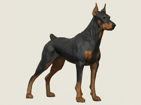 Доберман Собака 3D Принт Модель