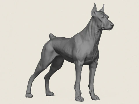 Perro D&oacute;berman Modelo de impresión 3D