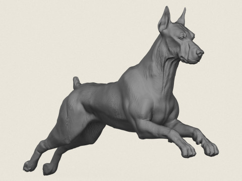 Doberman Dog Running 3D Print Model