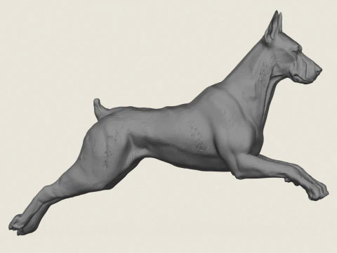 Doberman Dog Running 3D Print Model