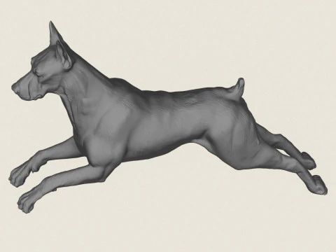 Doberman Dog Running 3D Print Model