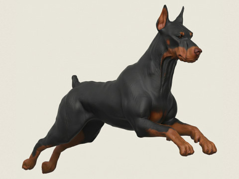 Doberman Dog Running 3D Print Model