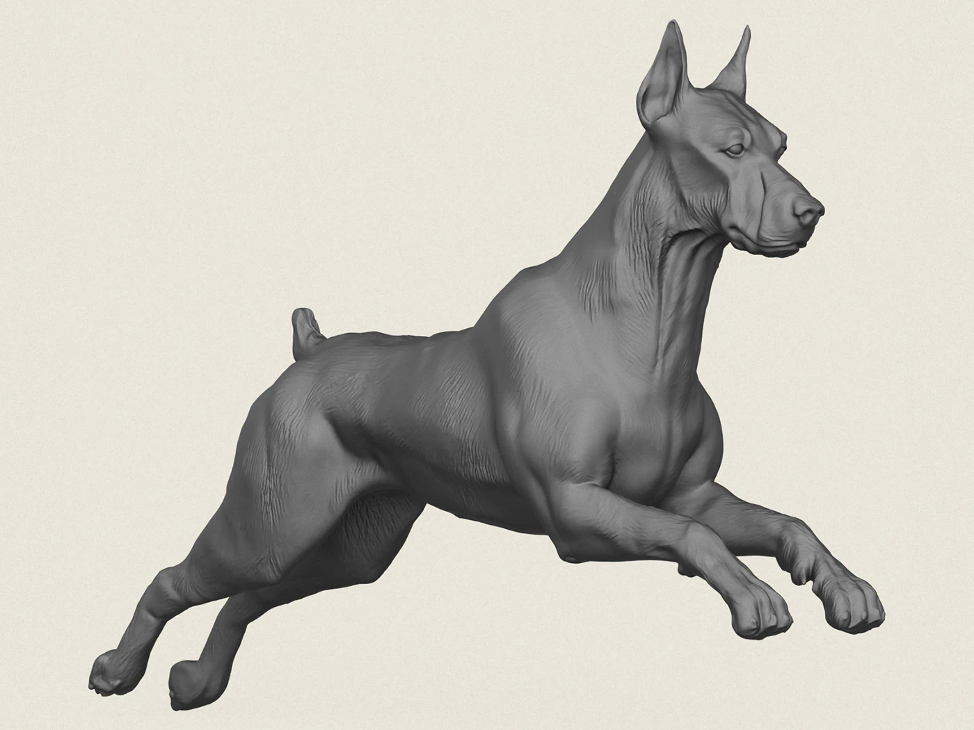 Doberman Dog Running 3D Print Model .c4d .max .obj .3ds .fbx .stl .blend