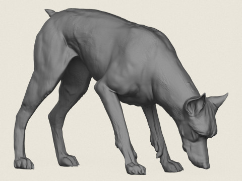 Doberman Dog Eating 3D Print Model