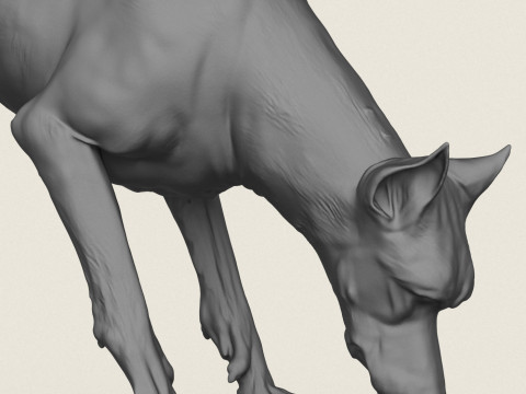 杜宾犬吃东西 3D 打印模型