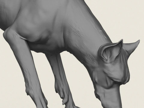 Doberman Dog Eating 3D Print Model