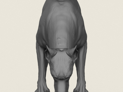 杜宾犬吃东西 3D 打印模型