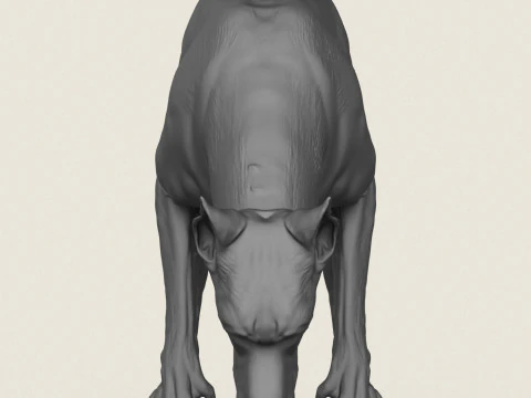 Doberman Dog Eating 3D Print Model